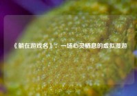 《躺在游戏名》：一场心灵栖息的虚拟漫游