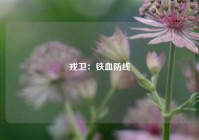 戎卫：铁血防线