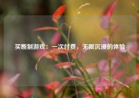 买断制游戏：一次付费，无限沉浸的体验