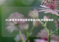 2023年度养老保险缴费基数与比例法律解析