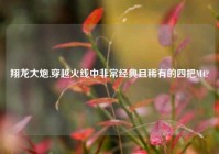 翔龙大炮,穿越火线中非常经典且稀有的四把M4?