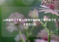 dnf技能补丁下载,dnf宠物小埋的补丁我下载了打不开怎么办
