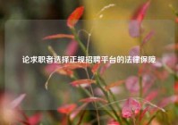 论求职者选择正规招聘平台的法律保障