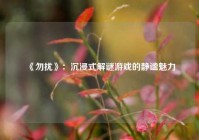  《勿扰》：沉浸式解谜游戏的静谧魅力