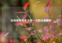咨询律师费多少钱一次的全面解析