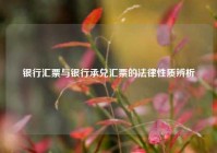 银行汇票与银行承兑汇票的法律性质辨析