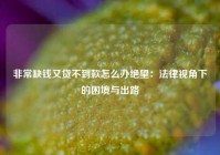 非常缺钱又贷不到款怎么办绝望：法律视角下的困境与出路