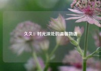 久久：时光深处的温馨物语