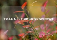 工资不足五千元仍需依法申报个税的法律解析