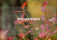 鹏哥的虚拟战场征途