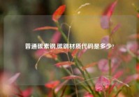普通碳素钢,碳钢材质代码是多少?