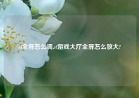cf全屏怎么调,cf游戏大厅全屏怎么放大?