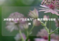 冰球赛场上的“合法角力”：解读独特斗殴规则