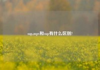 sup,mpv和sup有什么区别?