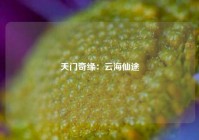 天门奇缘：云海仙途