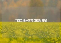 广西卫视体育节目精彩导览