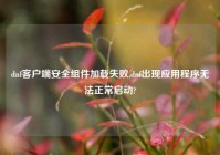 dnf客户端安全组件加载失败,dnf出现应用程序无法正常启动?