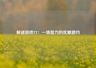 解谜游戏TT：一场智力的优雅邀约