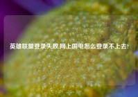 英雄联盟登录失败,网上国电怎么登录不上去?