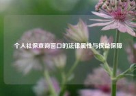 个人社保查询窗口的法律属性与权益保障