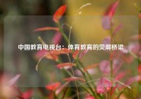 中国教育电视台：体育教育的荧屏桥梁
