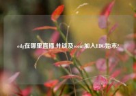 edg在哪里直播,并谈及scout加入EDG始末?