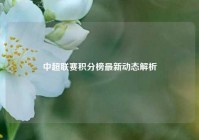 中超联赛积分榜最新动态解析