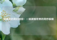 骑瓢虫的奇幻冒险：一场微观世界的奇妙旅程