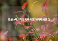 谁有cf号,cf有序列号和无序列号的区别