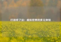 打游戏了没：虚拟世界的多元体验