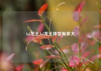 lol龙王,lol龙王体型有多大