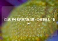  游戏世界中的跨国文化交锋：当玩家遇上“老外”
