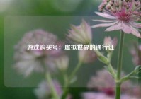 游戏购买号：虚拟世界的通行证