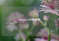 lolrank,rank分数查询?