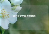 断刃之武艺服,东吴猛将?