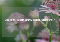 cf夜玫瑰h,雪莉杨摸金校尉和夜玫瑰哪个好?