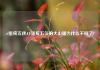 cf蛋疼五侠,CF蛋疼五侠的大山猫为什么不拍了?