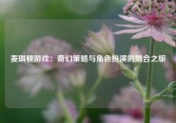 麦琪顿游戏：奇幻策略与角色扮演的融合之旅