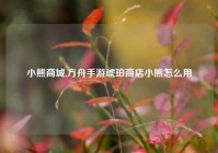 小熊商城,方舟手游琥珀商店小熊怎么用