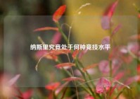 纳斯里究竟处于何种竞技水平