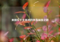 美国位于北美洲的体育强国之路