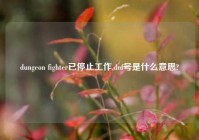 dungeon fighter已停止工作,dnf号是什么意思?