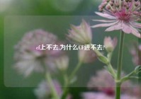 cf上不去,为什么CF进不去?