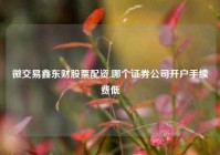 微交易鑫东财股票配资,哪个证券公司开户手续费低
