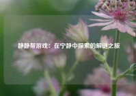  静静帮游戏：在宁静中探索的解谜之旅