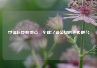 世俱杯决赛地点：全球足球荣耀的终极舞台