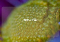 游戏人生莫