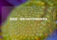 捣捣塔：策略与操作的塔防新体验