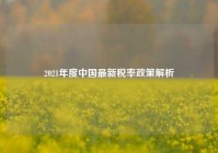 2021年度中国最新税率政策解析