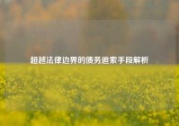 超越法律边界的债务追索手段解析
